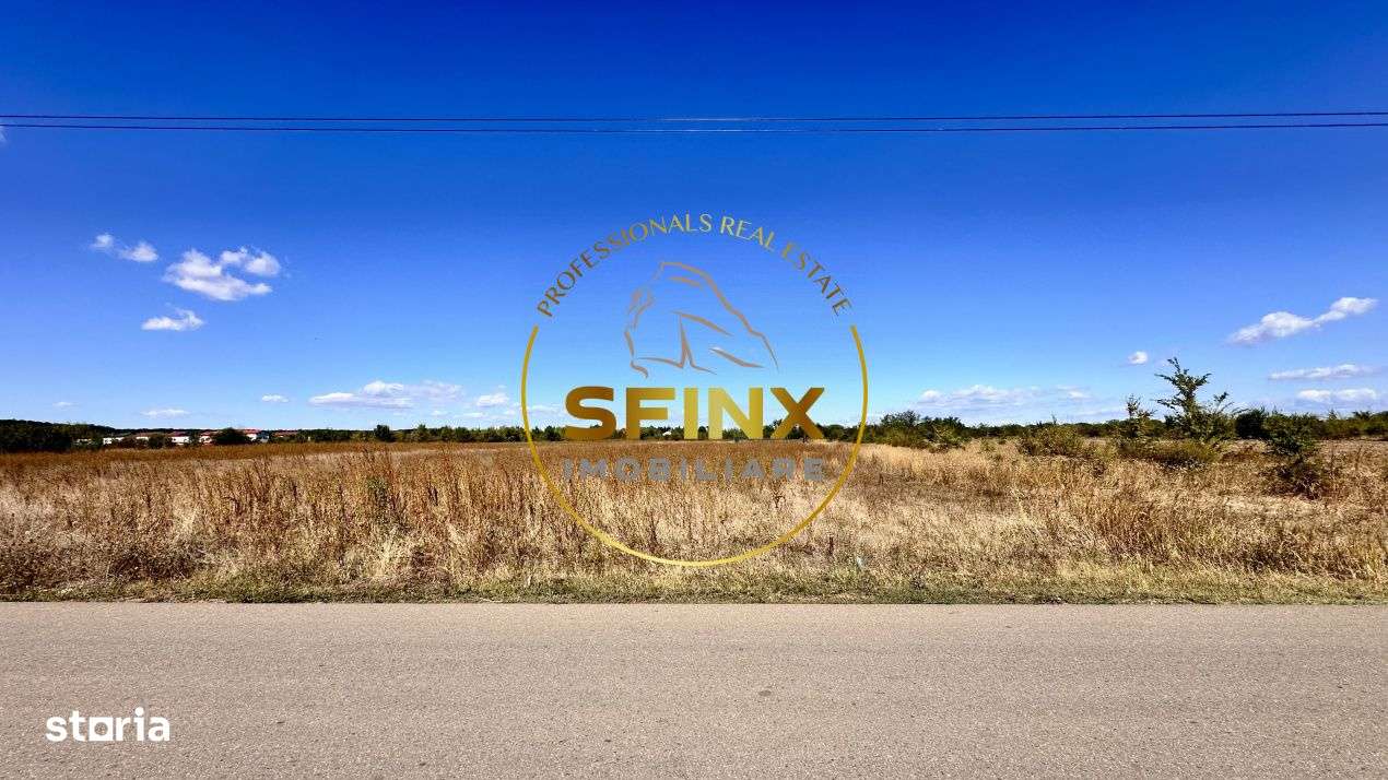 Corbeanca 5000 mp, deschidere 22 m la Drum asfaltat, padure, utilitati-11