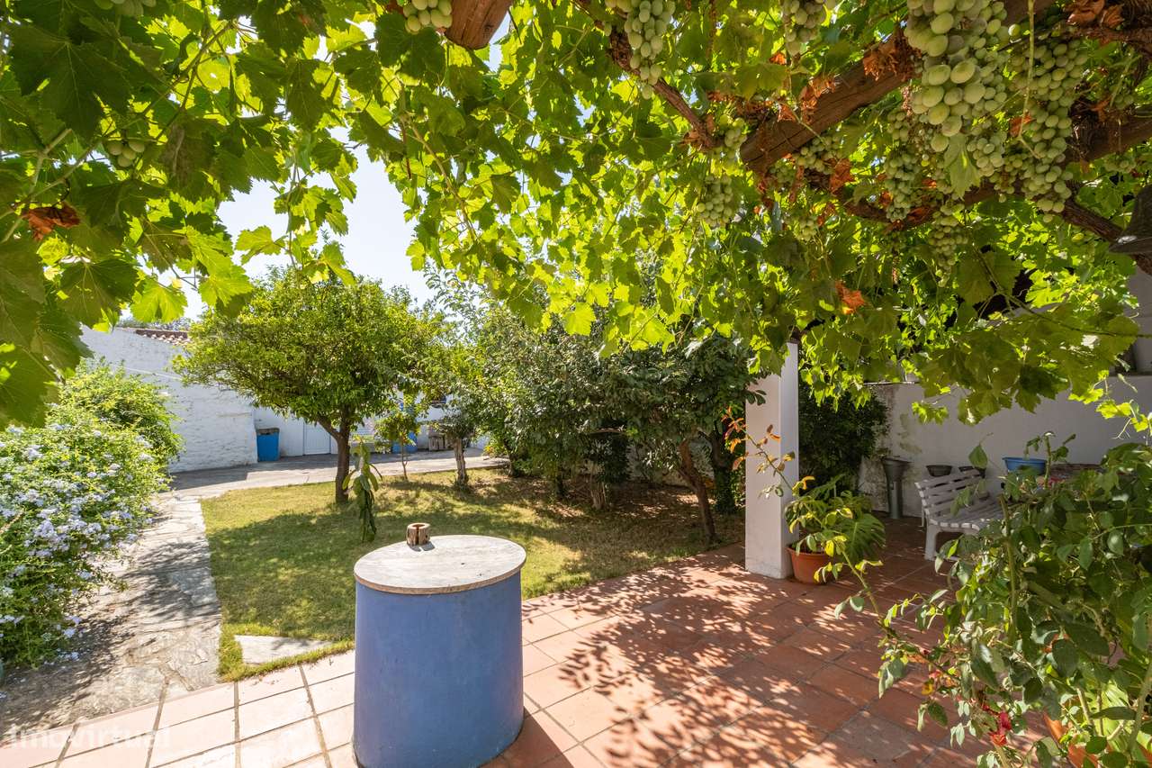 CASA DE ALDEIA | PARA VENDA | ALENTEJO-33