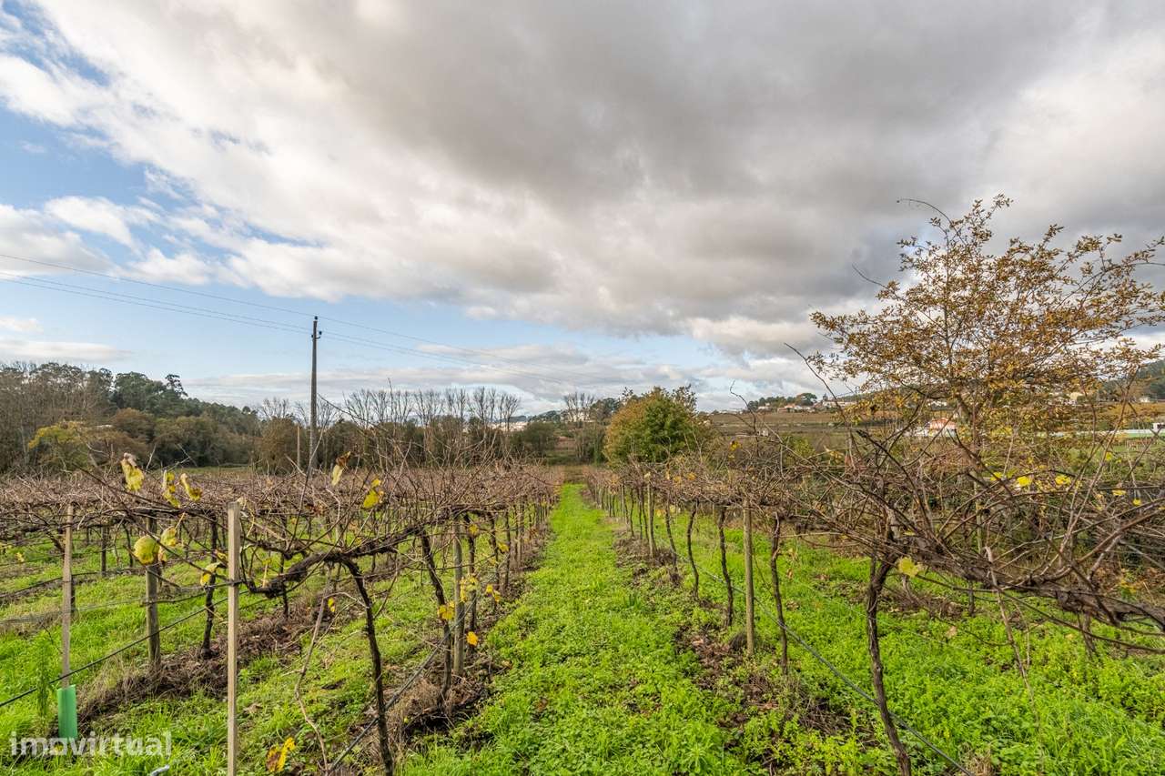 Moradia Senhorial - Felgueiras-26