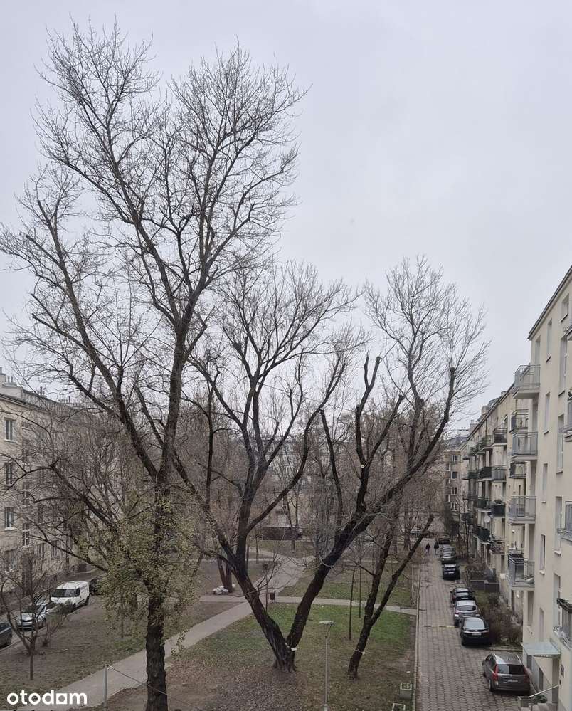 OKAZJA INWESTYCYJNA! Kawalerka 12 min od CENTRUM (ul. Żytnia - Wola) - Pełny obrazek: 5/5