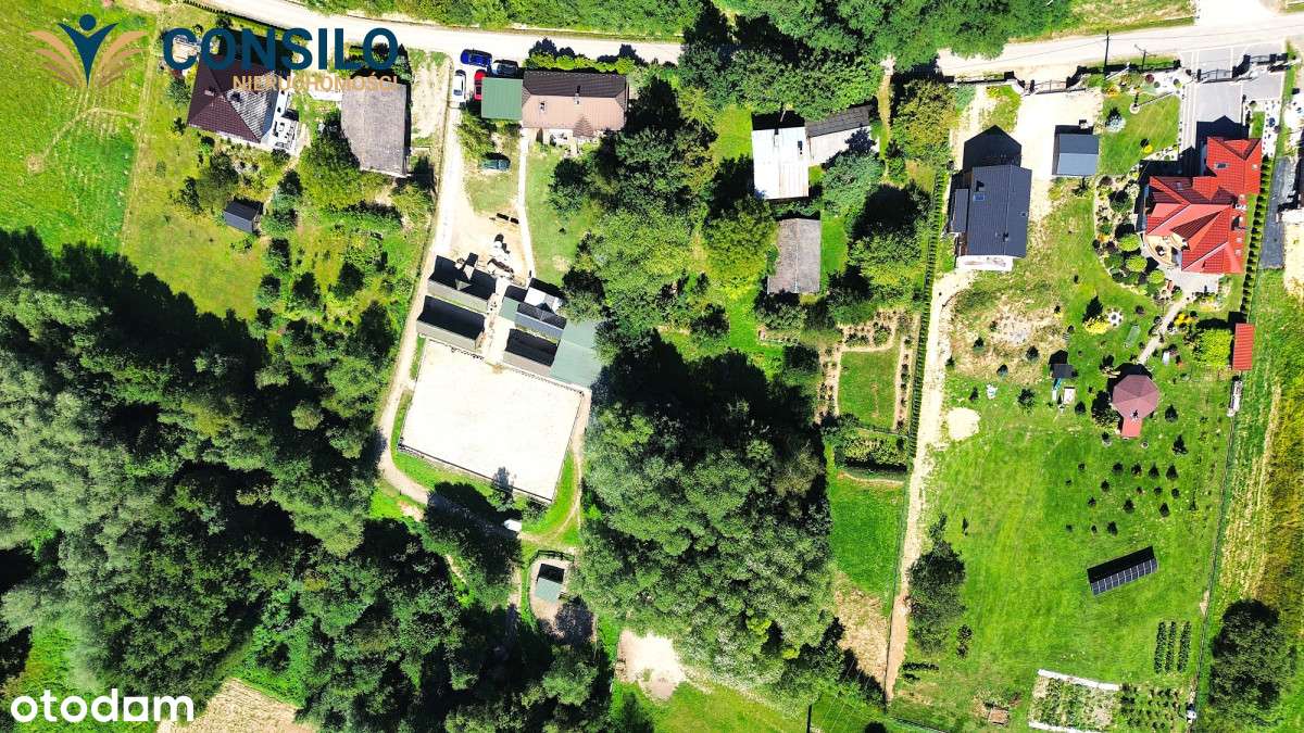 Agroturystyka! Dom Spokojnej Starości dla Koni! - Pełny obrazek: 5/13