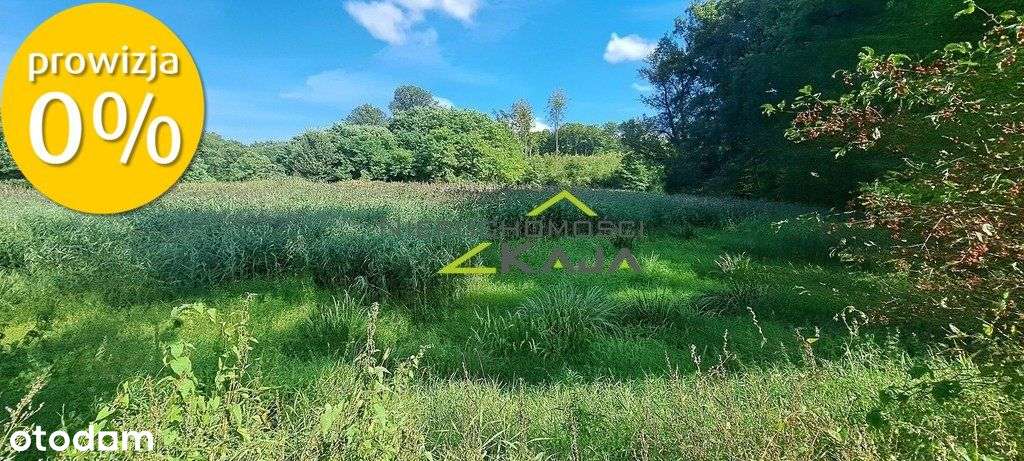 Urokliwie położona działka z lasem i stawem - Pełny obrazek: 5/20