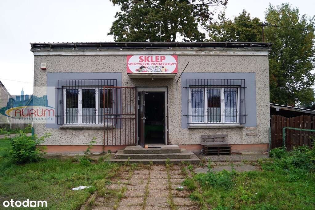 Dom wolnostojący Chocicz