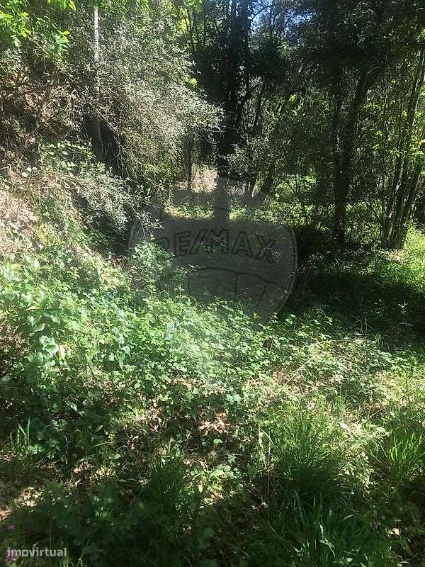 Terreno  para venda - Grande imagem: 4/6