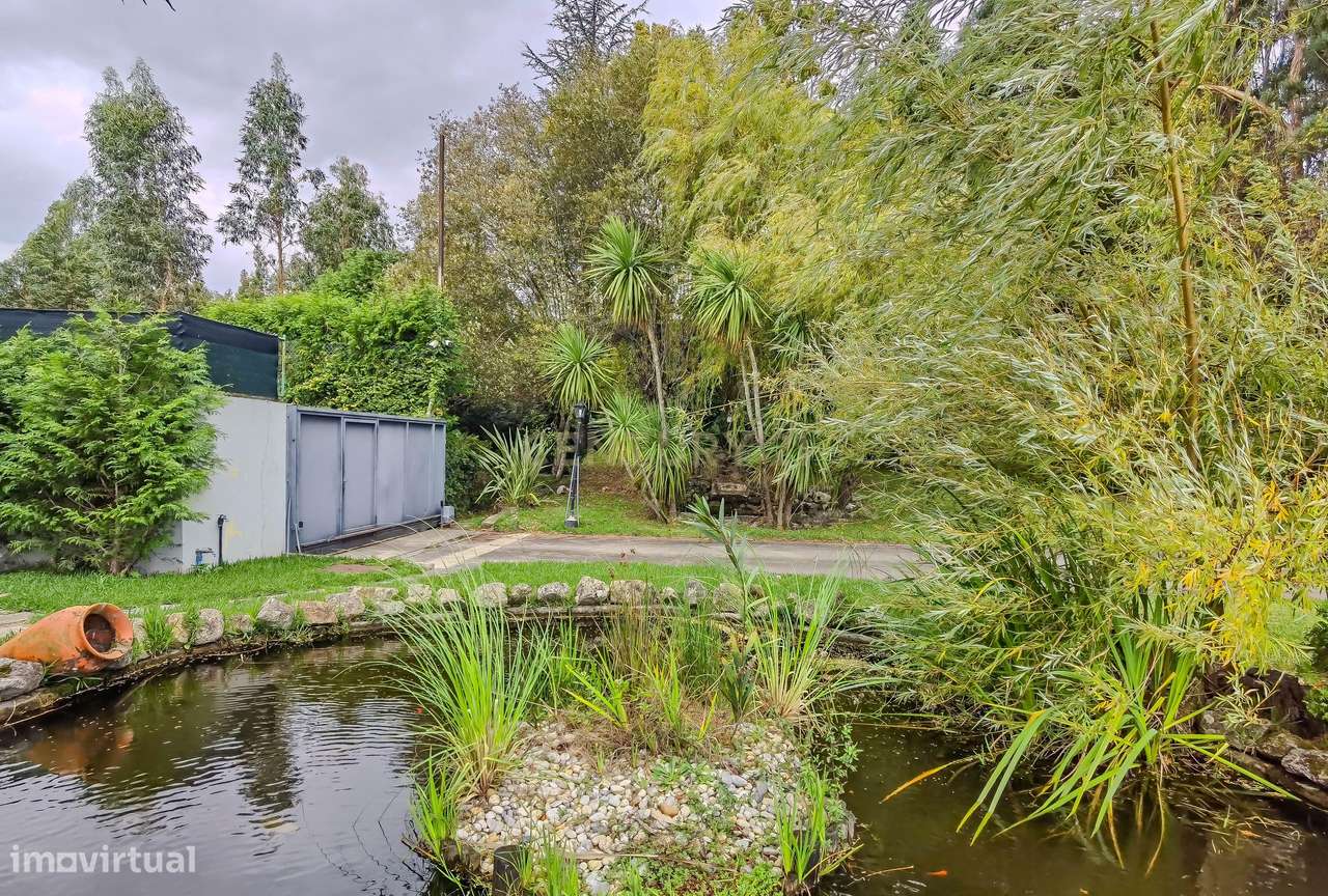 Quinta com Moradia e Piscina na Maia, Porto-26