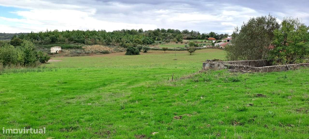 Quinta em Travanca, Mogadouro-58