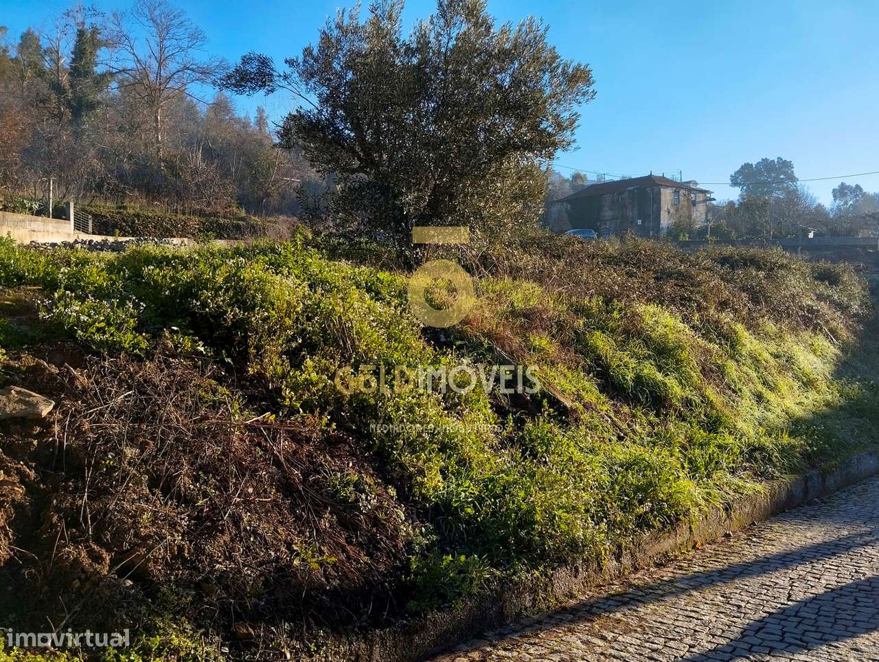 Terreno em solo de construção -  Nespereira, Cinfães - Grande imagem: 4/6