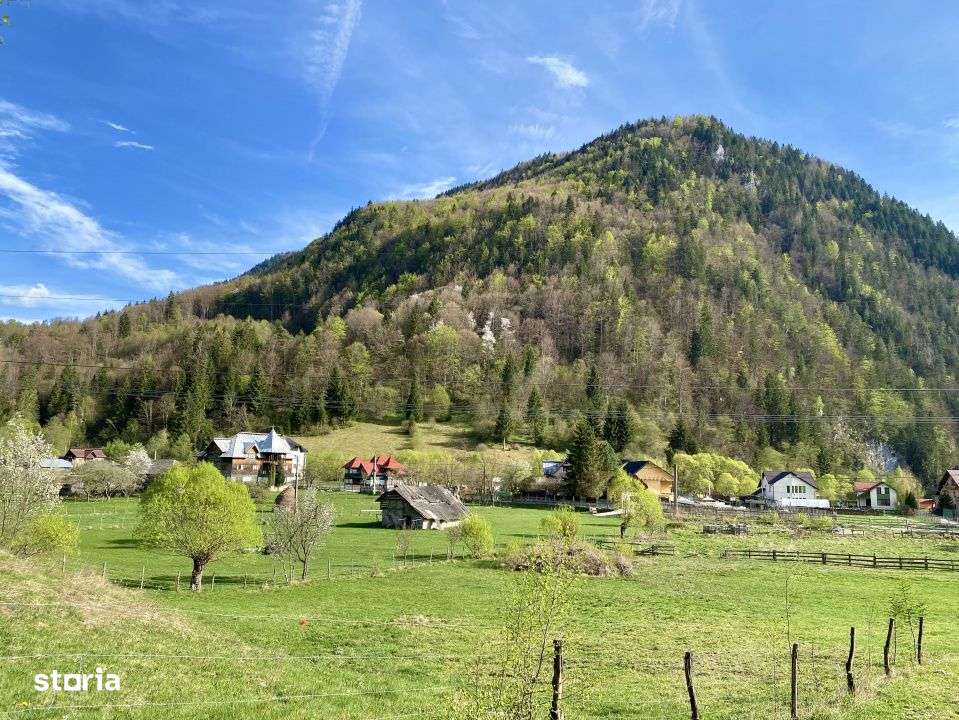 Teren panoramic insorit, utilitati, panta mica si padure, turism sau v-1
