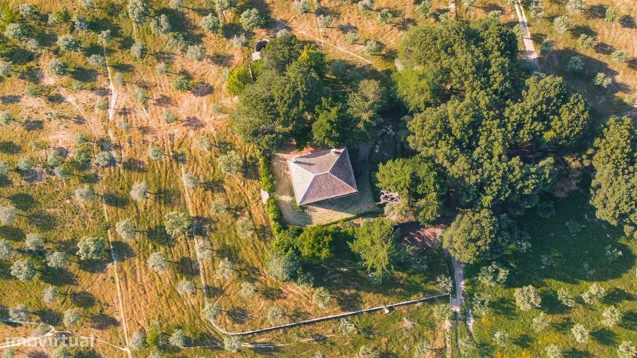 Herdade >=T10 Venda em Castelo Branco,Castelo Branco - Grande imagem: 4/60