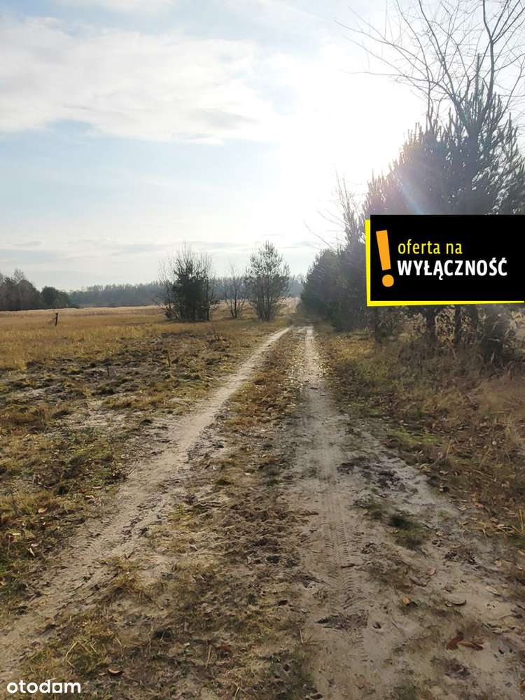 Działka blisko lasu.-4