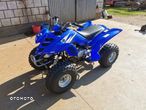 Yamaha Raptor - 2