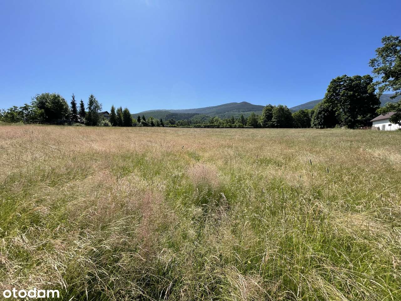 Widokowa i słoneczna działka 1338 m2. Okolica Osiedla Skalnego!-9
