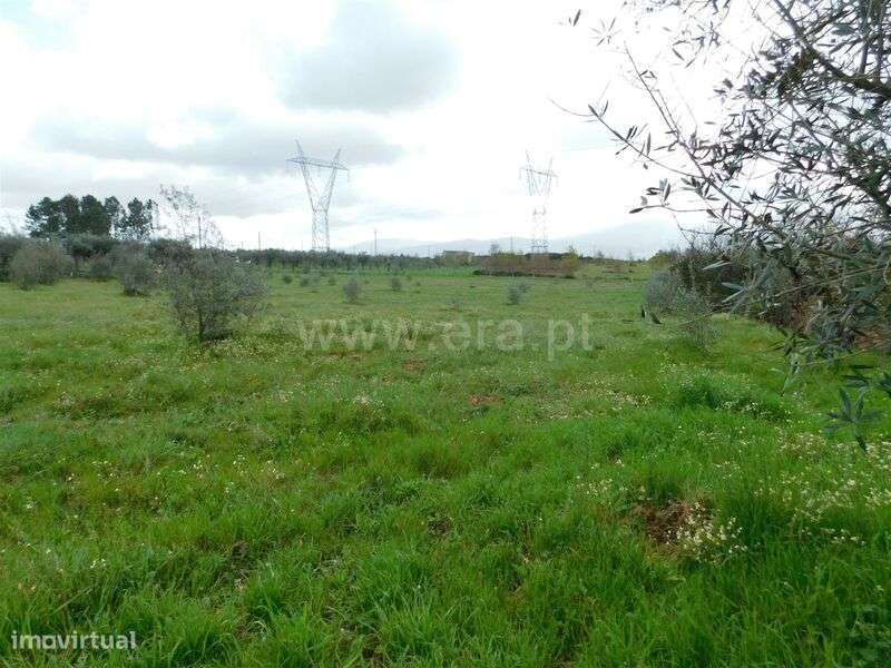 Terreno / Seia, Sameice e Santa Eulália - Grande imagem: 3/17