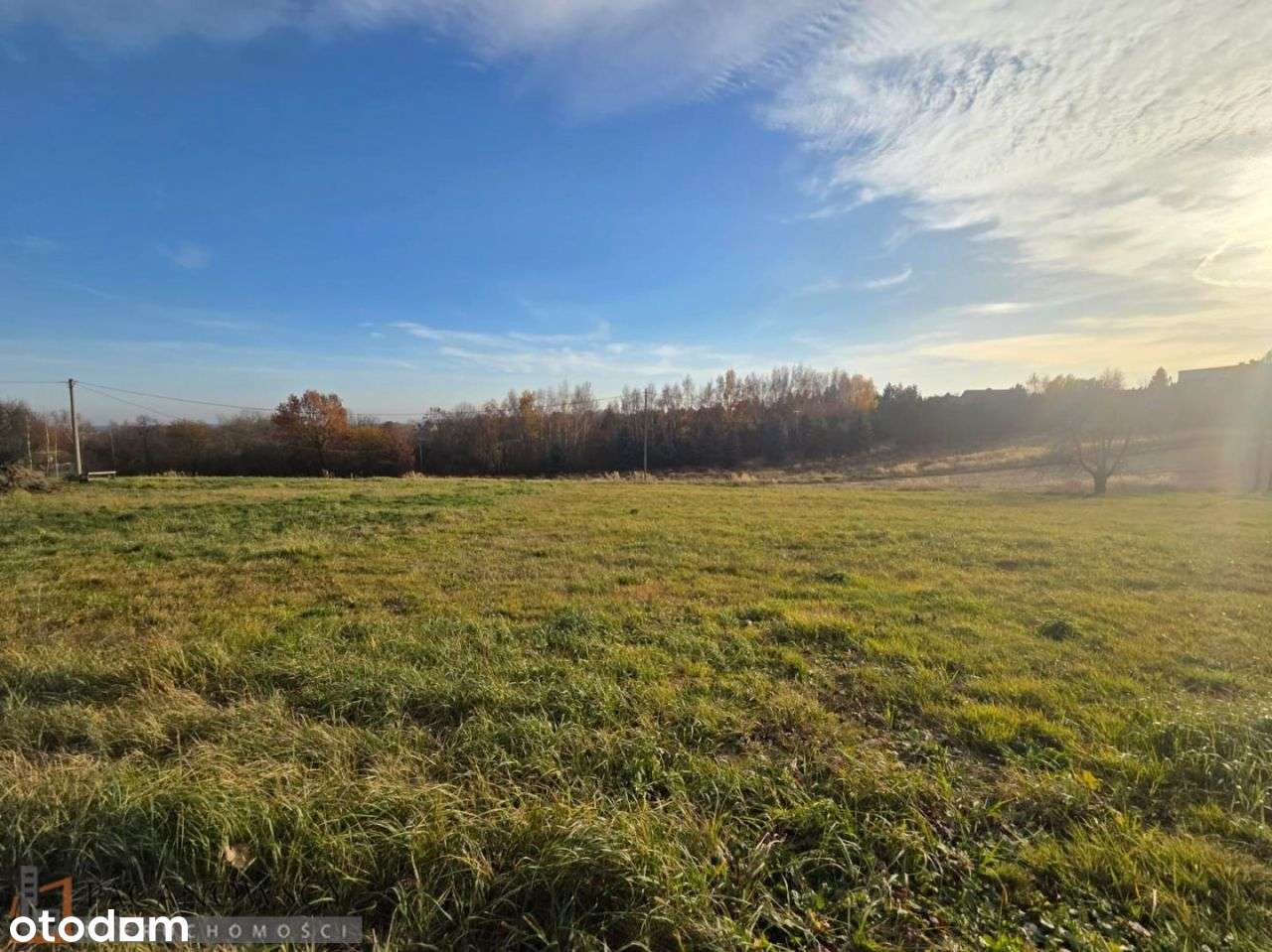 Działka, 850 m², Grębynice - Pełny obrazek: 4/4