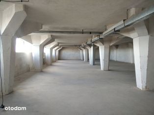 WŁAŚCICIEL, magazyn 590 m2 , Górczyn, Grunwald - Pełny obrazek: 5/6