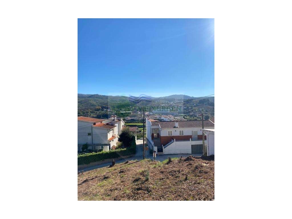 TERRENO COM VIABILIDADE DE CONSTRUÇÃO EM PESSEGUEIRO DO VOUGA - Grande imagem: 5/8