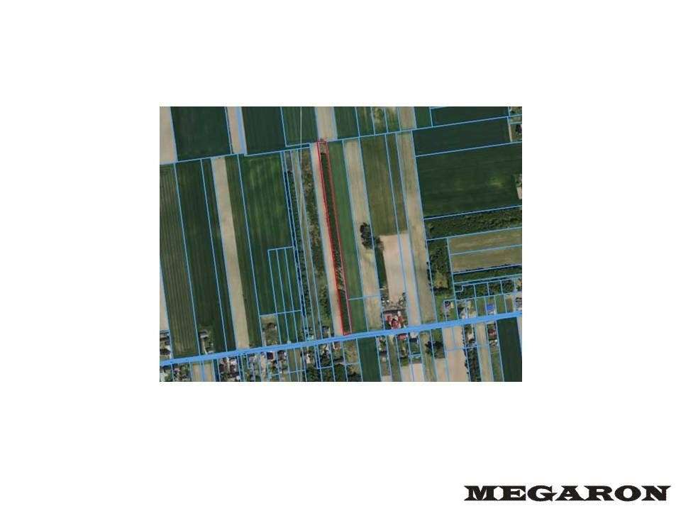 Działka, 8 948 m², Miedźno - Pełny obrazek: 5/5
