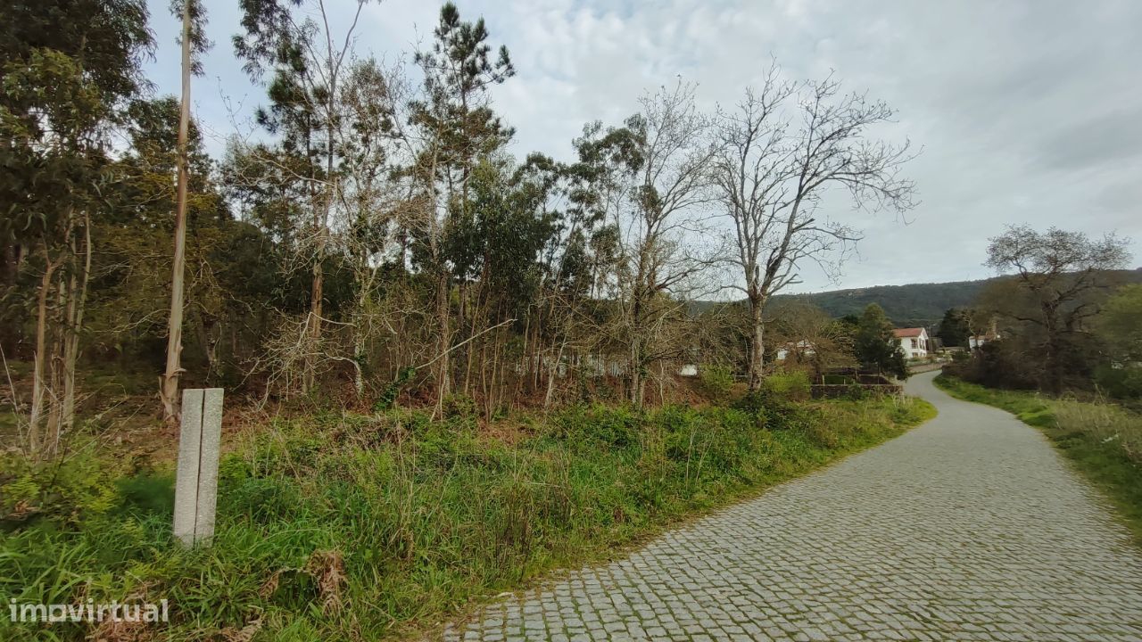 Lotes de Terreno em Afife, Viana do Castelo