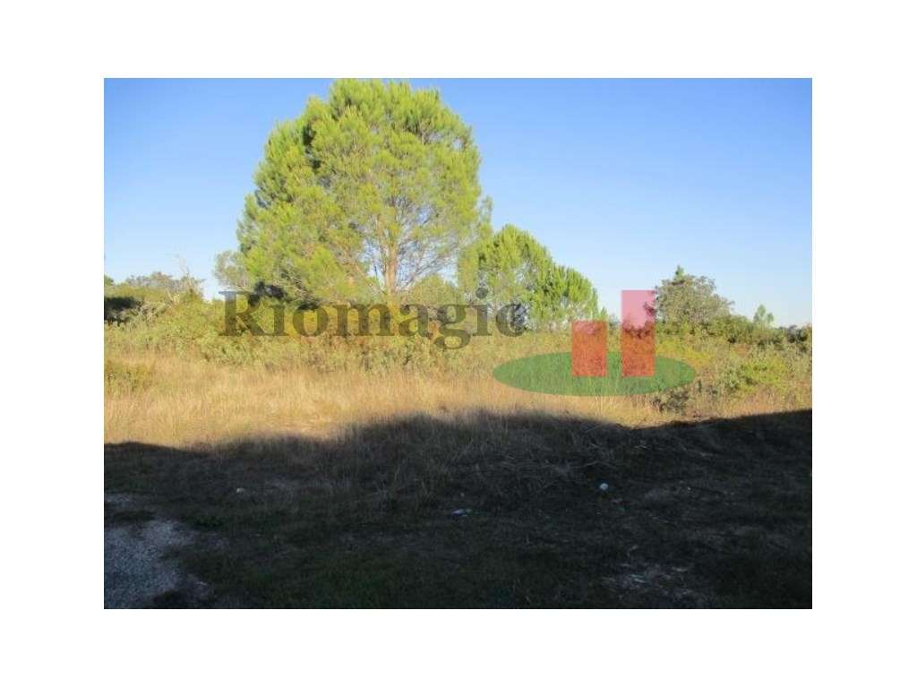 Terreno Urbano em Tomar ****RIOMAGIC**** - Grande imagem: 2/12