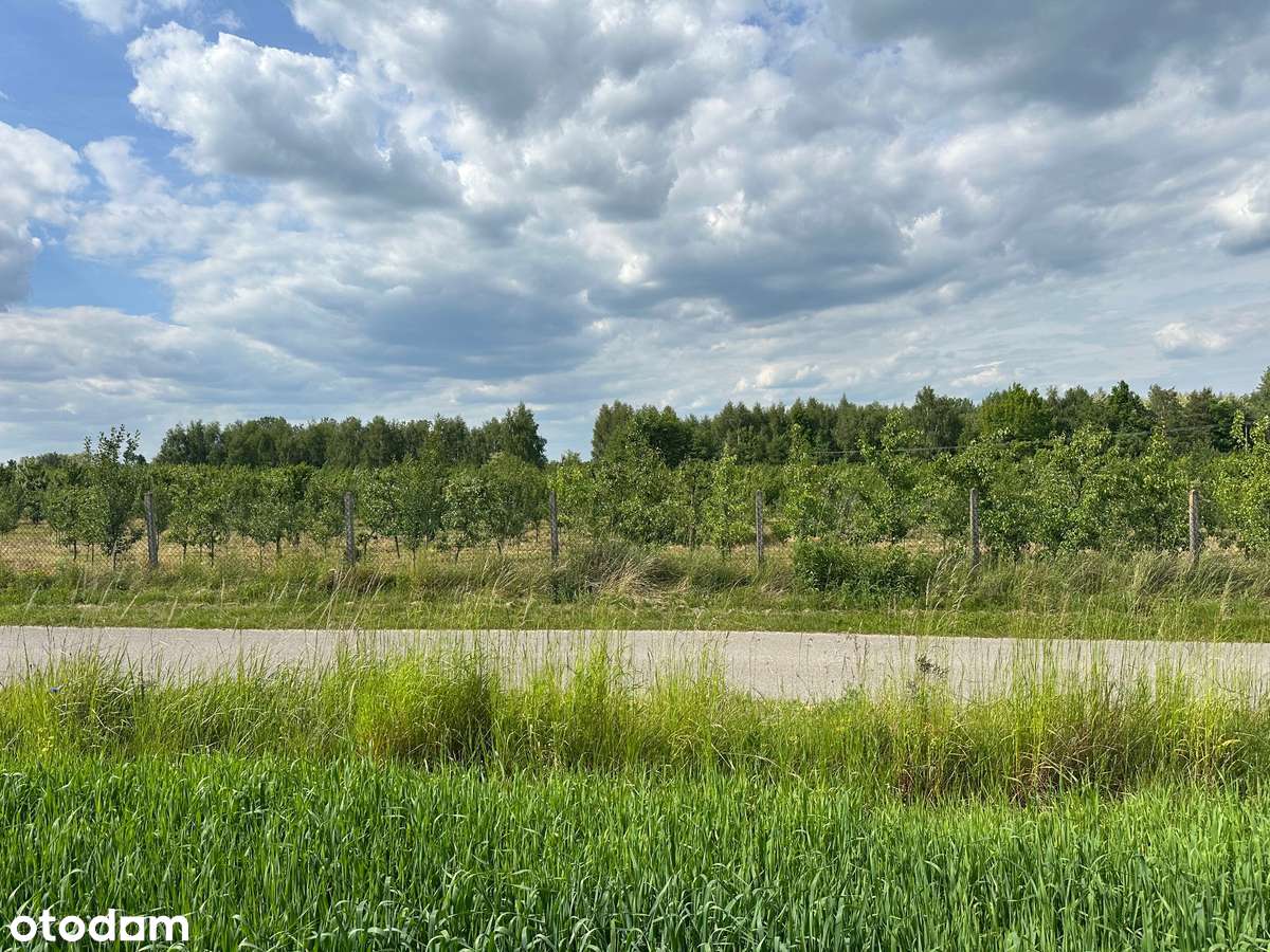 Działka budowlana na wzgórzu z widokiem - Pełny obrazek: 4/8