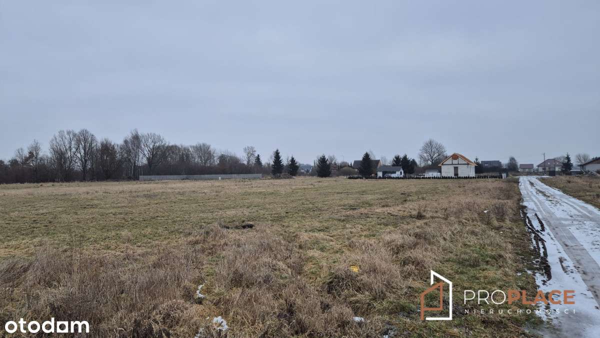 Działka z WZ Krasowiec /Deszczno 10 km do Gorzowa-3