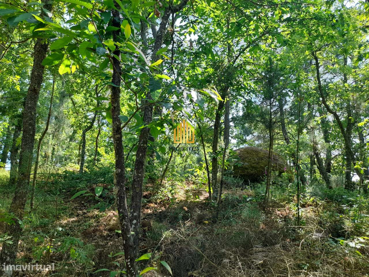 Terreno único com 21.500 m² Zona Vinhateira - Projeto Turístico-38