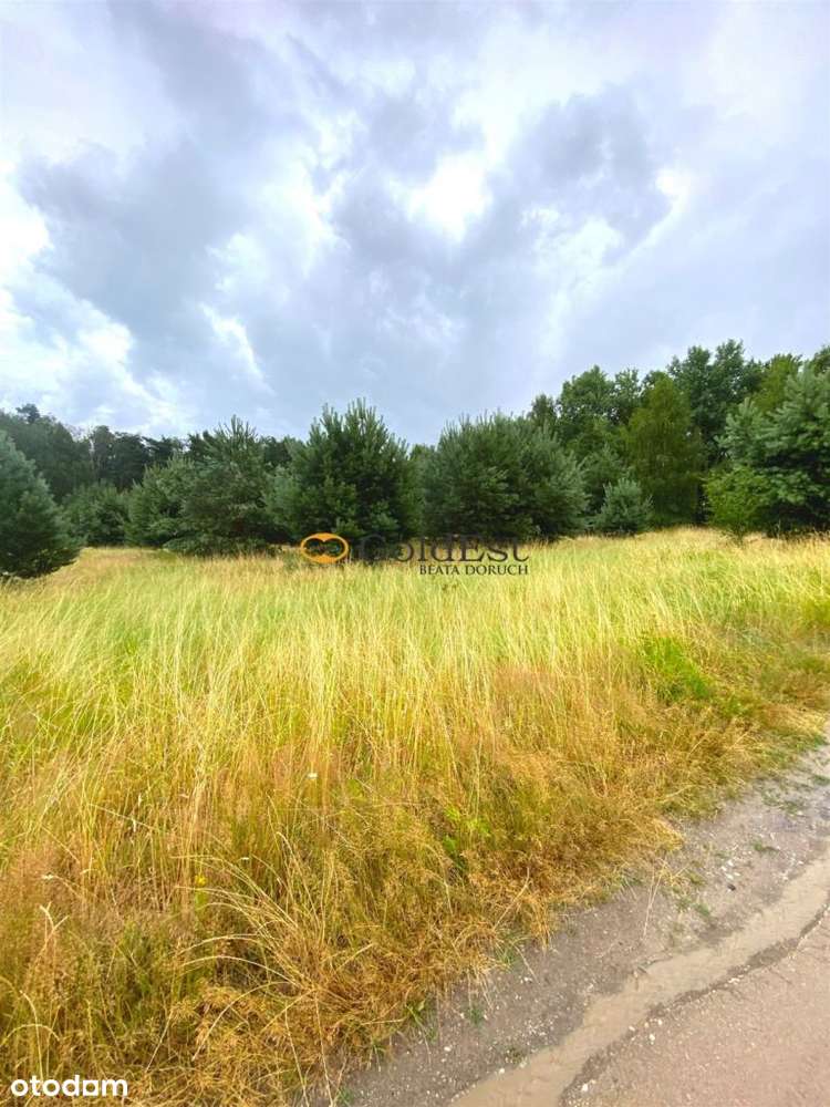 Działki letniskowe obok jeziora i lasu - Rokitki - Pełny obrazek: 4/7