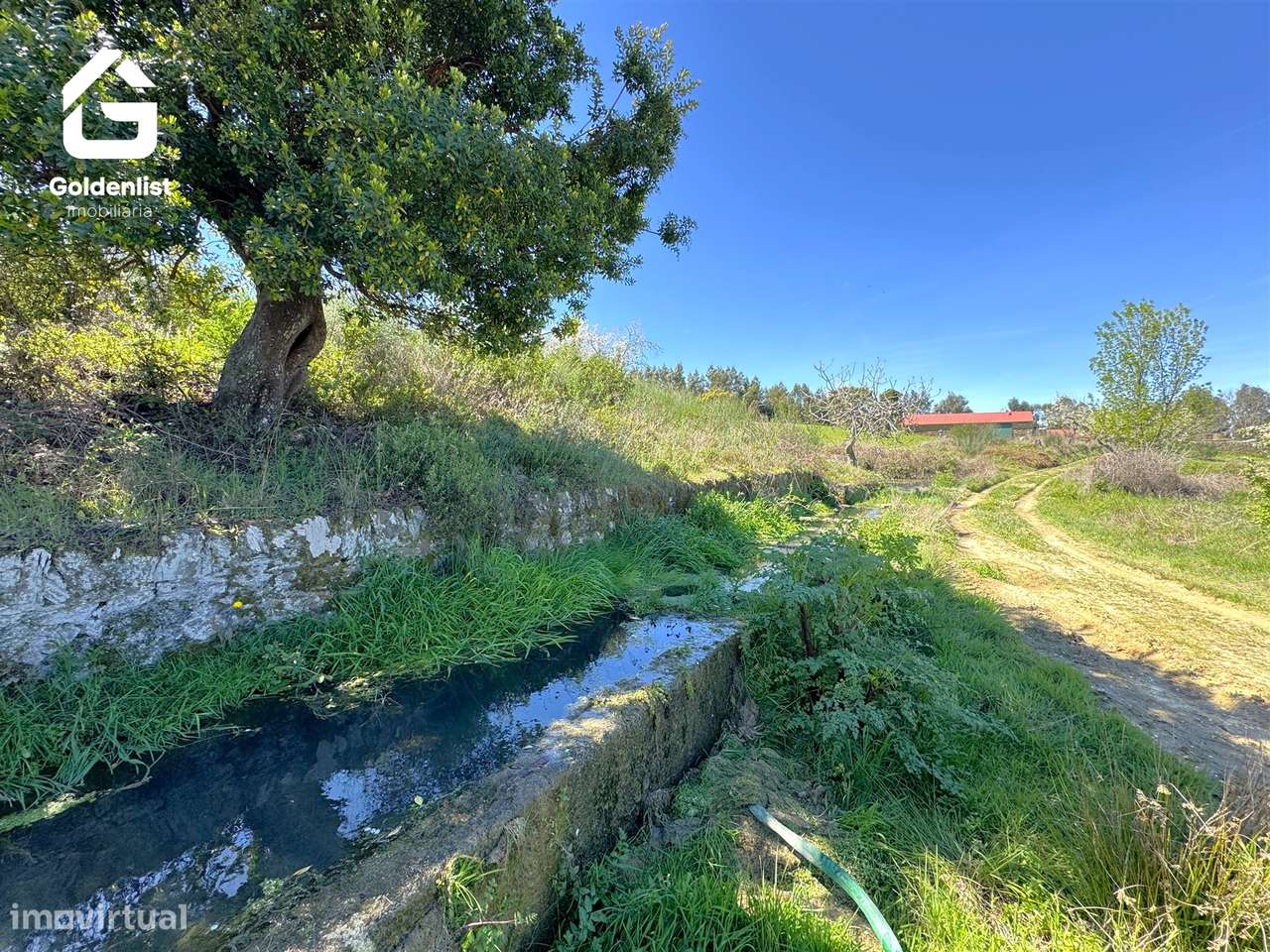 Herdade  Venda em Penamacor,Penamacor-16