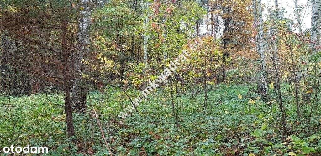⭐⭐⭐⭐ Działka budowlano-leśna z M-P-Z-P ⭐⭐⭐⭐ - Pełny obrazek: 4/5