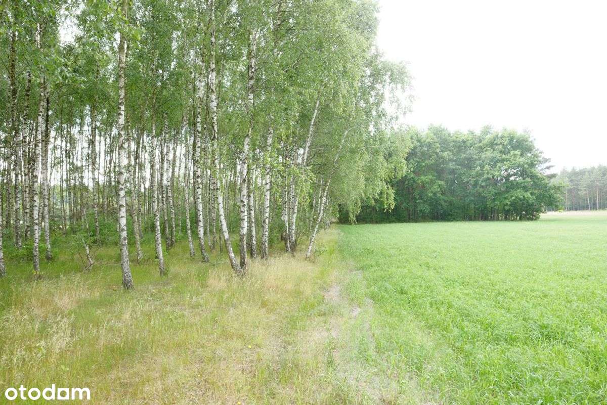 Wólka Smolana, gm. Brochów, 5 działek-4