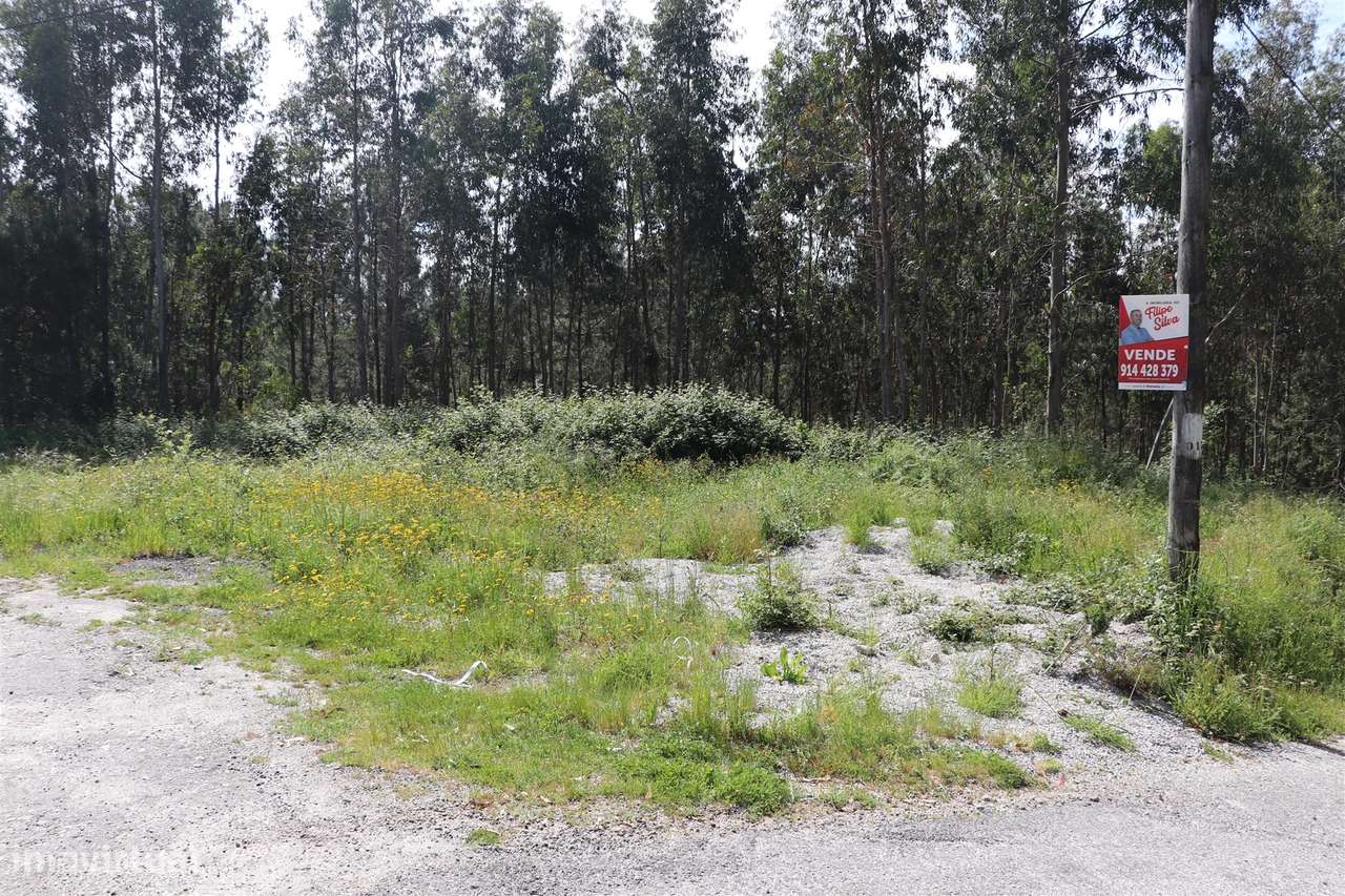 Lote de Terreno  Venda em Lustosa e Barrosas (Santo Estêvão),Lousada - Grande imagem: 5/12