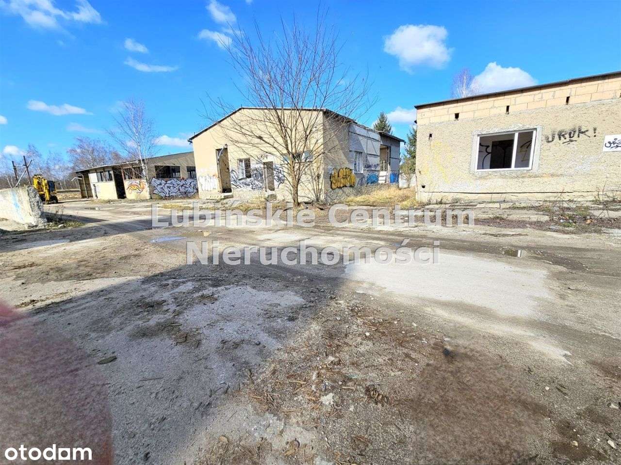 Działka, 11 000 m², Lubin - Pełny obrazek: 4/5