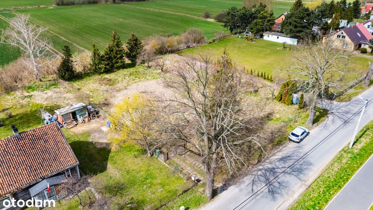 Działka Wyspa Sobieszewska z bezpośrednim widokiem na Wisłę - Pełny obrazek: 5/8