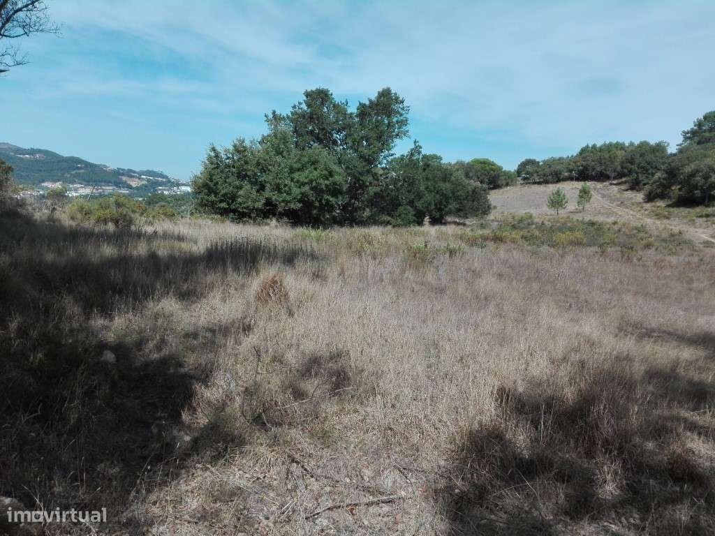 Terreno em Lousa - Grande imagem: 5/12