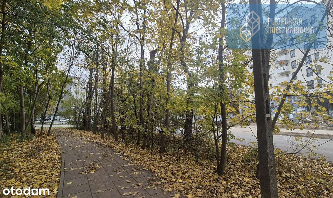 Świąteczna okazja❗Inne układy❗ Klucze w styczniu❗-9