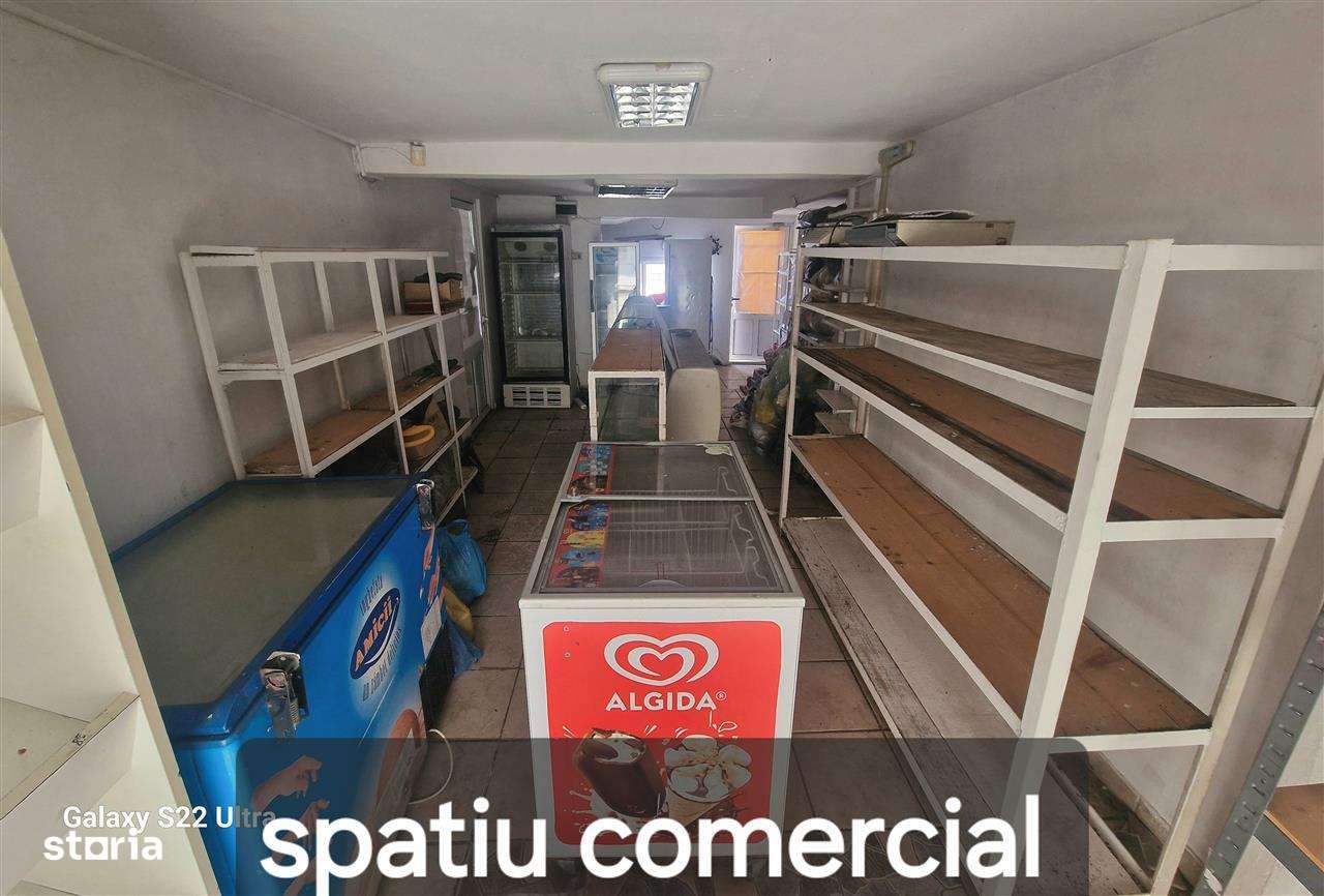 Casa 3 camere + garsoniera + Spatiu comercial  terasa Tatarasi Stejari-15