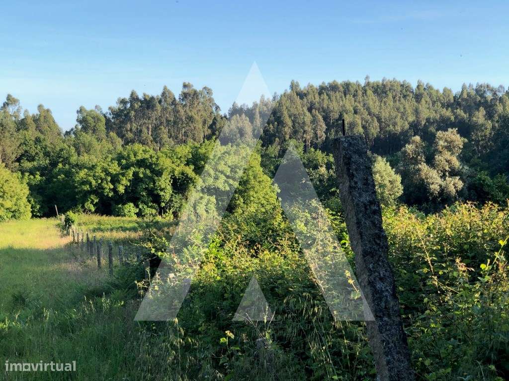 Terreno para construção de armazém em Pessegueiro Do Vouga! - Grande imagem: 4/13