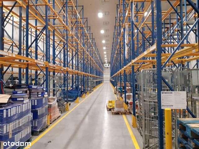 Powierzchnia Magazynowa Błonie pod Warszawą - Pełny obrazek: 5/14
