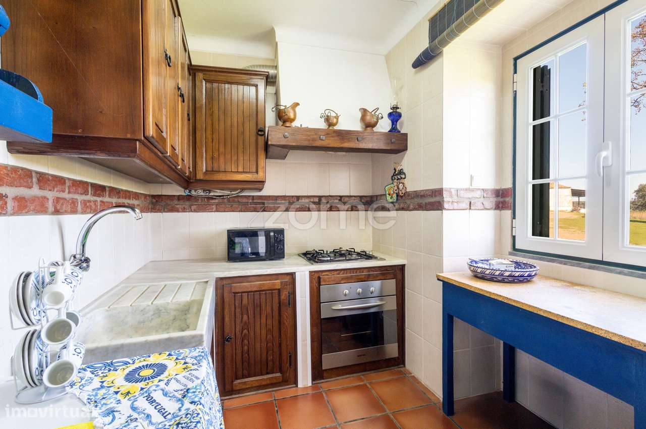 Monte Alentejano em Brinches (Serpa)-5