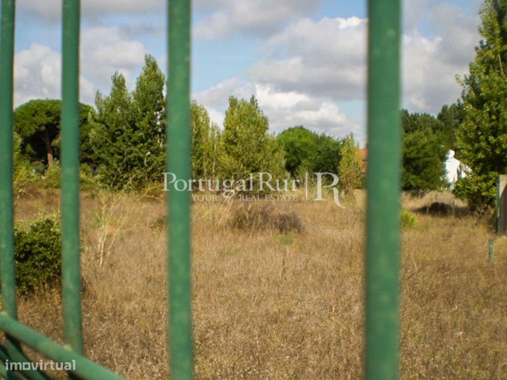 Terreno de 7500m2 para construção - Grande imagem: 5/7