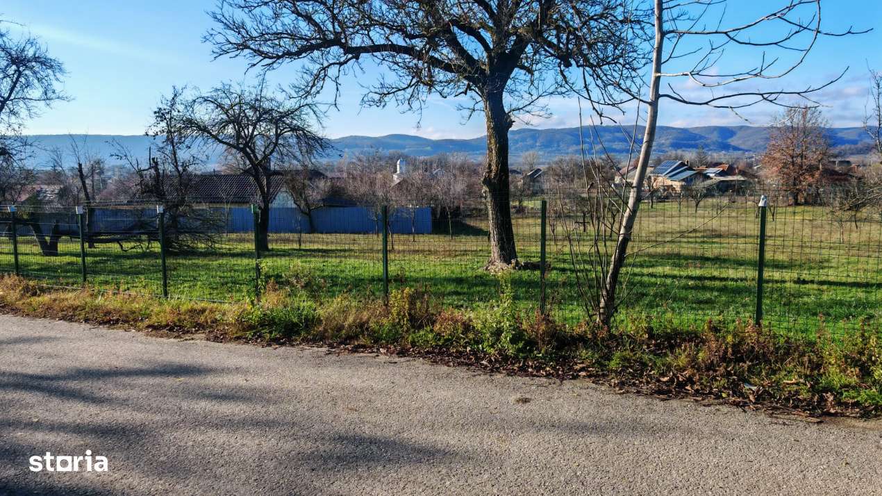 Teren de vanzare – 2.550 mp, pozitie excelenta, Stalpeni (zona centr - Imagine principală: 3/11