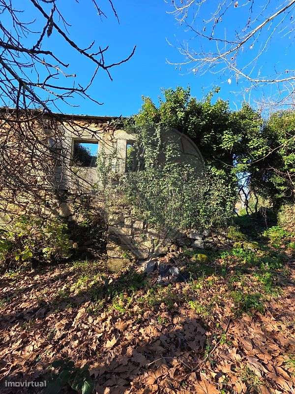 Quinta  para venda - Grande imagem: 2/6