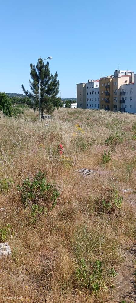 lote para construção - Grande imagem: 5/5