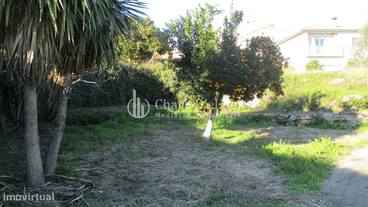 Quinta  Venda em São João de Lourosa,Viseu - Grande imagem: 3/19