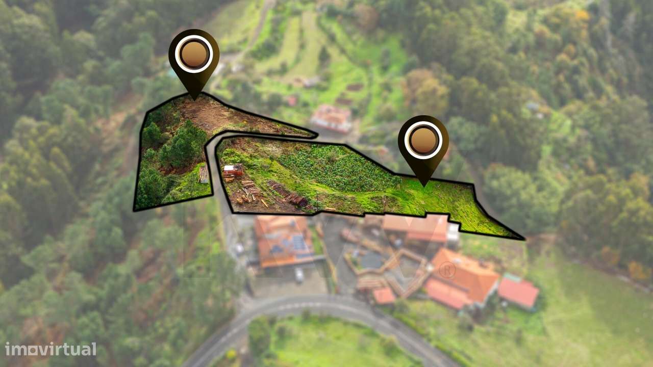 Terreno para Venda | Camacha | 7.010 m2 - Grande imagem: 4/16