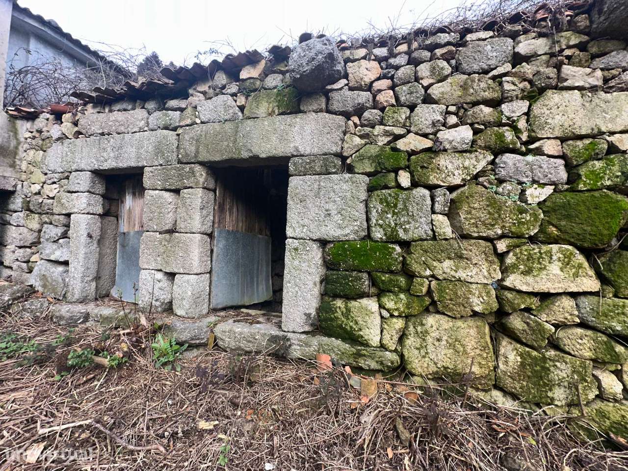 Moradia para restauro em Ribeiros - Grande imagem: 5/16