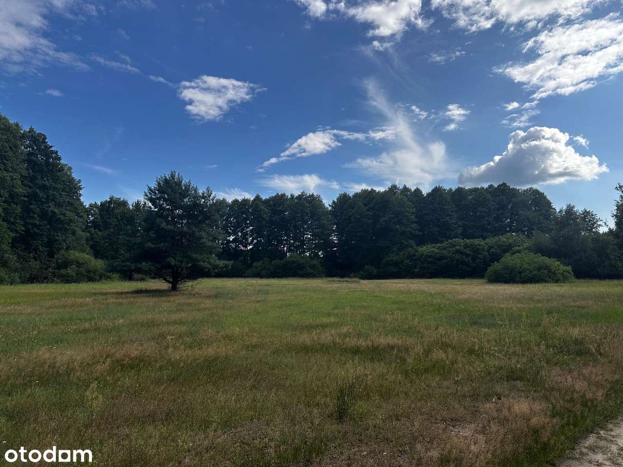 Piękna nieruchomość z potencjałem - Pełny obrazek: 4/17