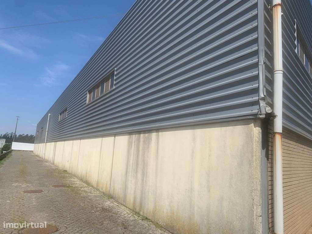 Armazém em Vilar - Bem localizado - ARRENDADO-4