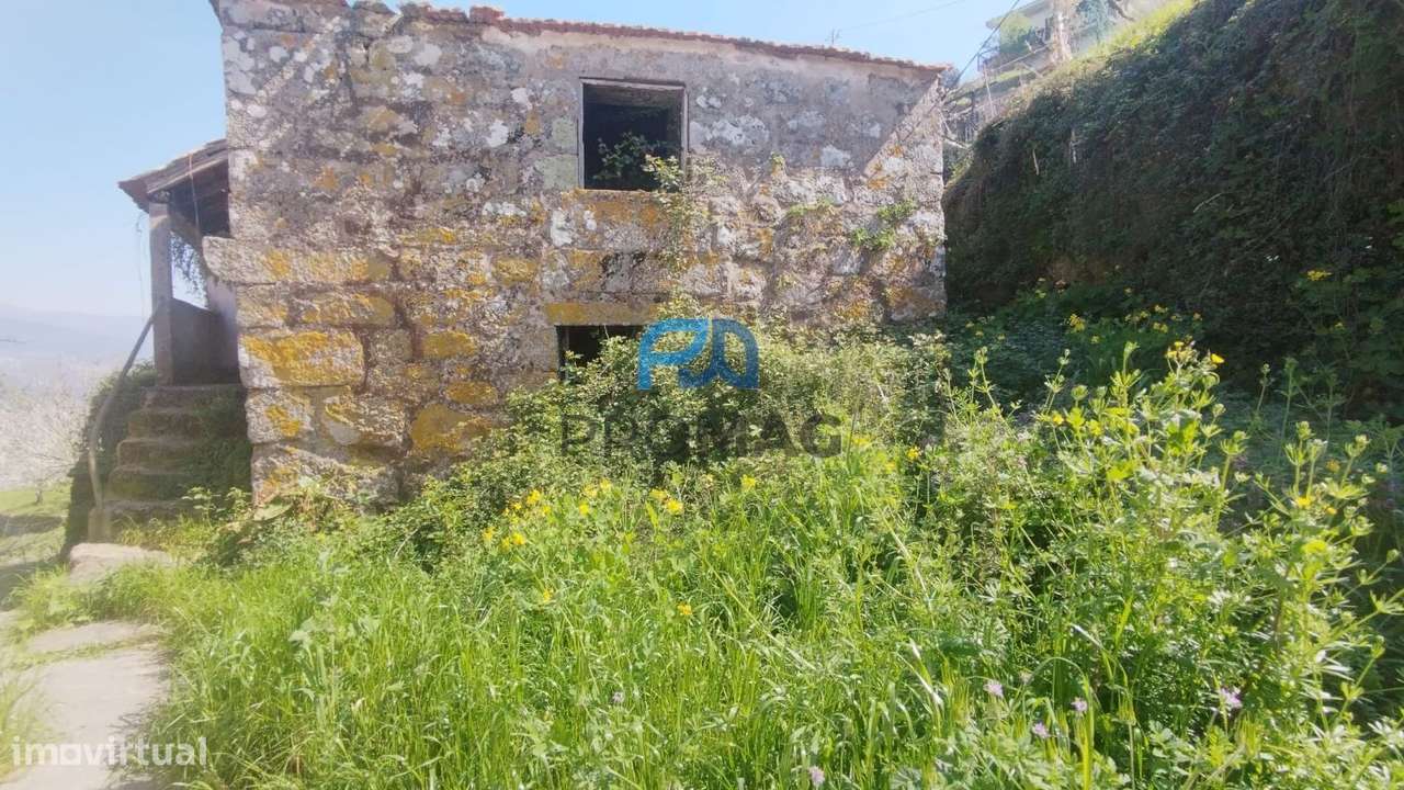 Quinta do Valado- Excelente Investimento em Resende-23