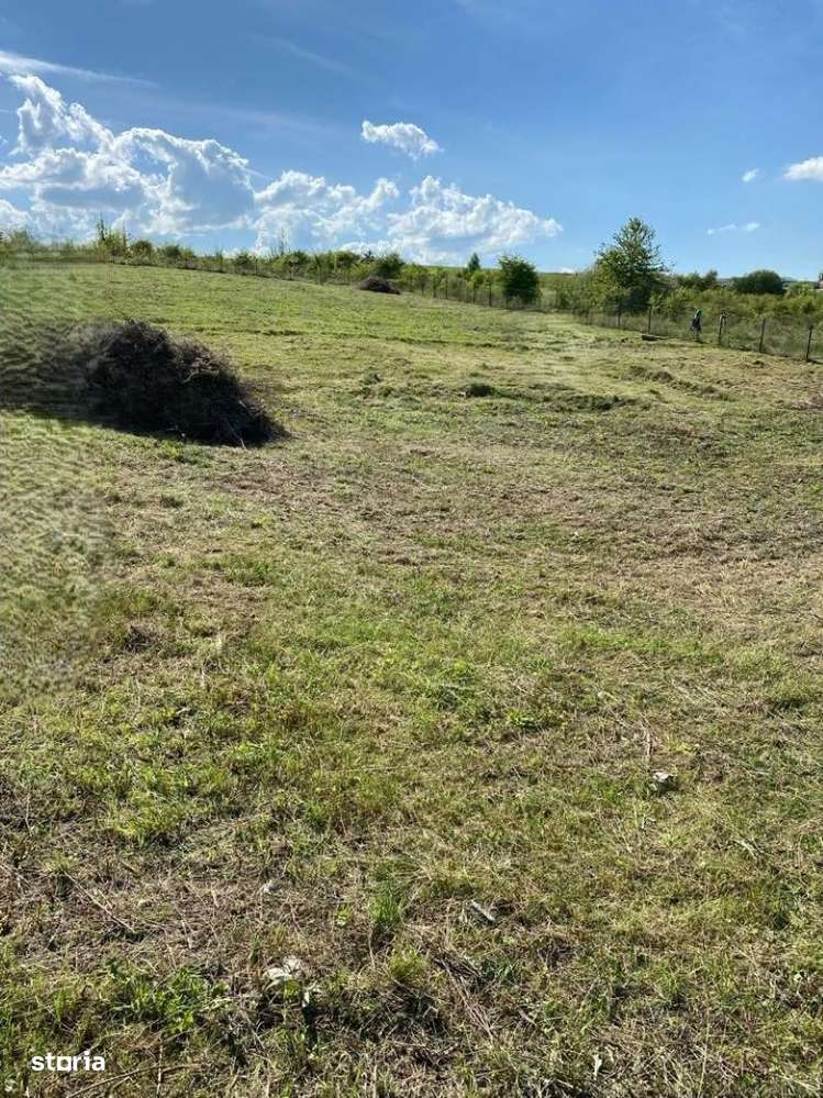 De vânzare teren intravilan, Sălicea – 1711 mp, parcelabil - Imagine principală: 4/5